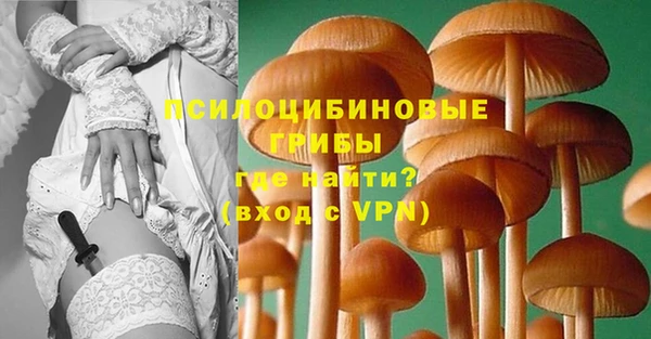ПСИЛОЦИБИНОВЫЕ ГРИБЫ Волоколамск