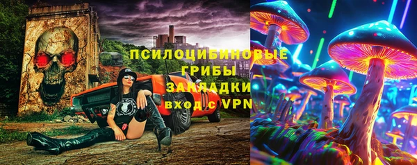 ПСИЛОЦИБИНОВЫЕ ГРИБЫ Волоколамск